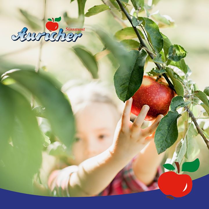 Die Lohnmost-Saison ist gestartet!