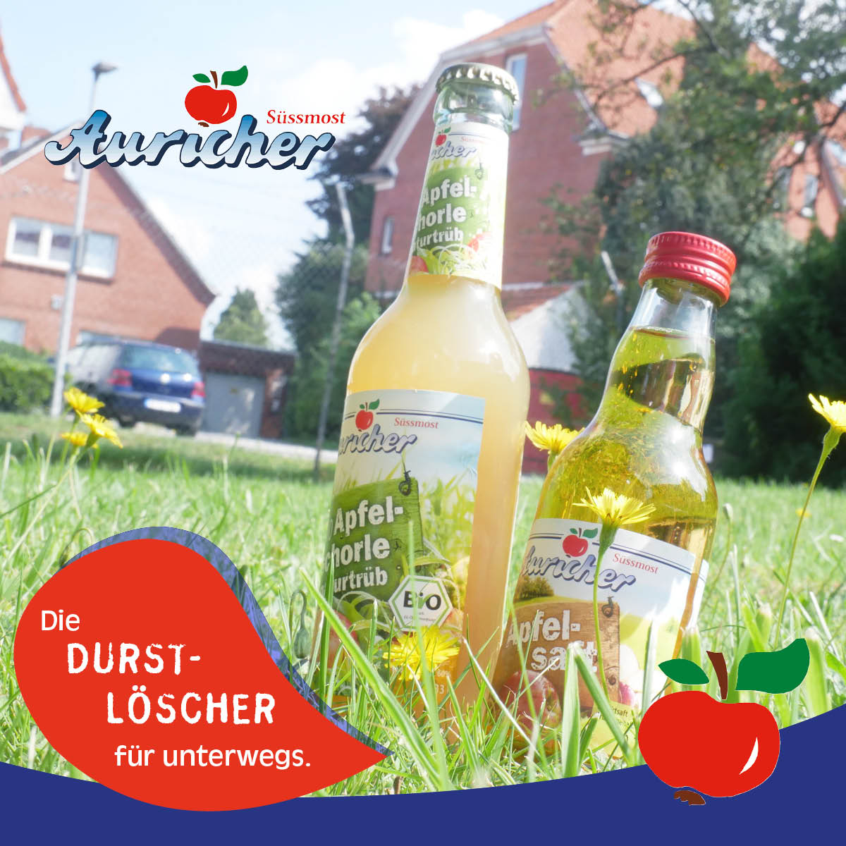 Passt in jeden Rucksack!