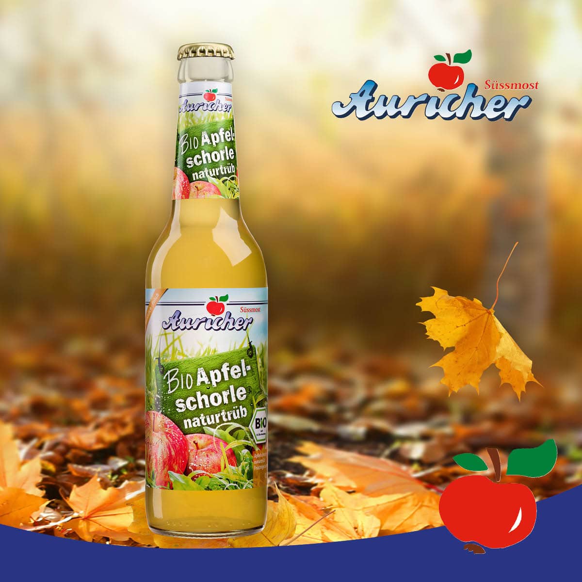 Herbstlicher Waldspaziergang