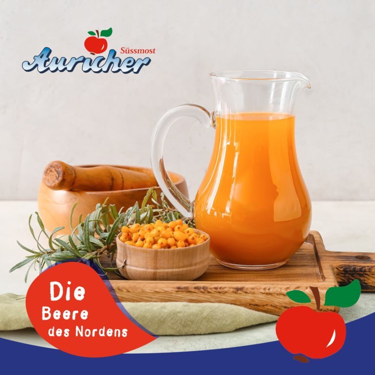 Die Beere des Nordens