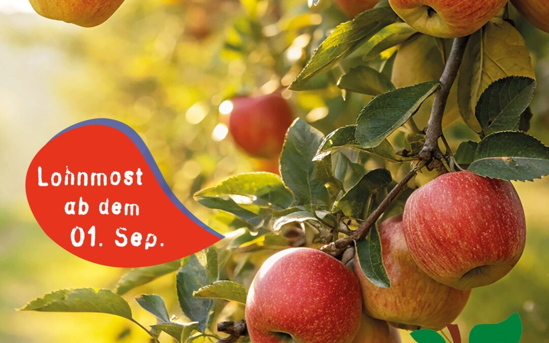 Der Herbst kann kommen – wir sind bereit! 🍎🍐🌳