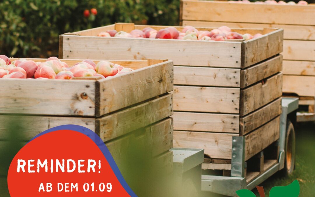 Der Sommer läuft – und die Lohnmost Zeit steht an!