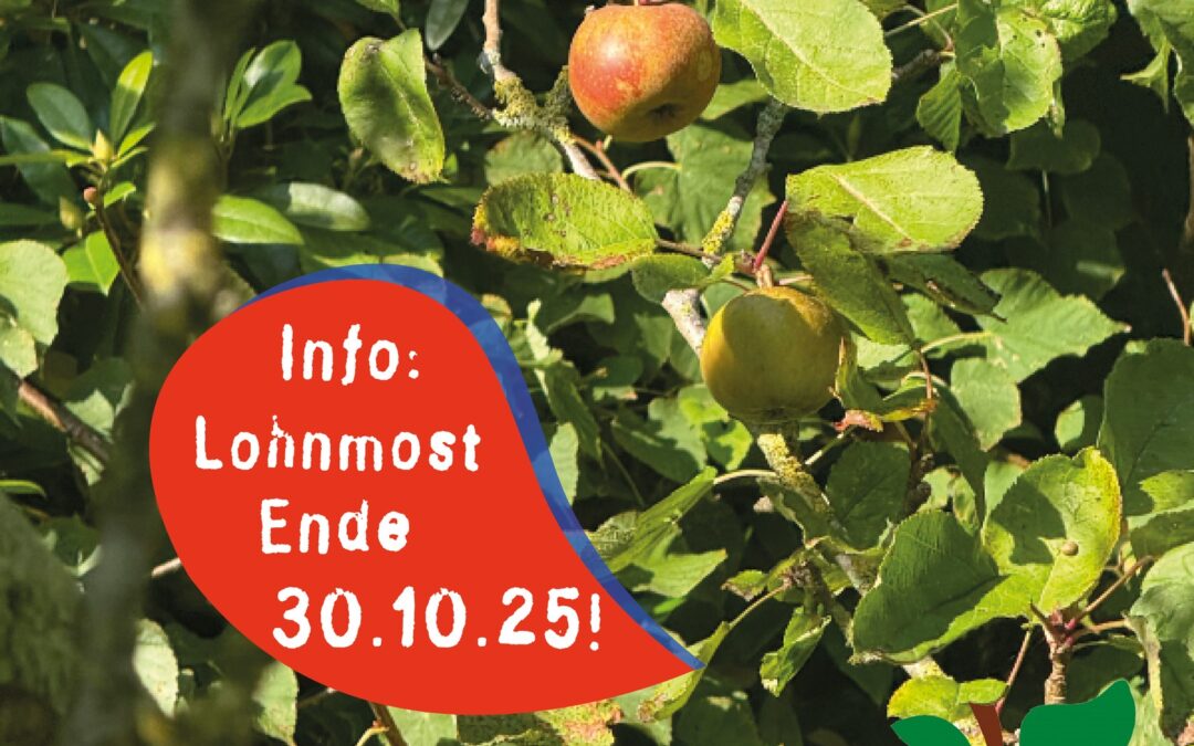 Letzte Chance: Lohnmost nur noch bis 30. Oktober 🍏