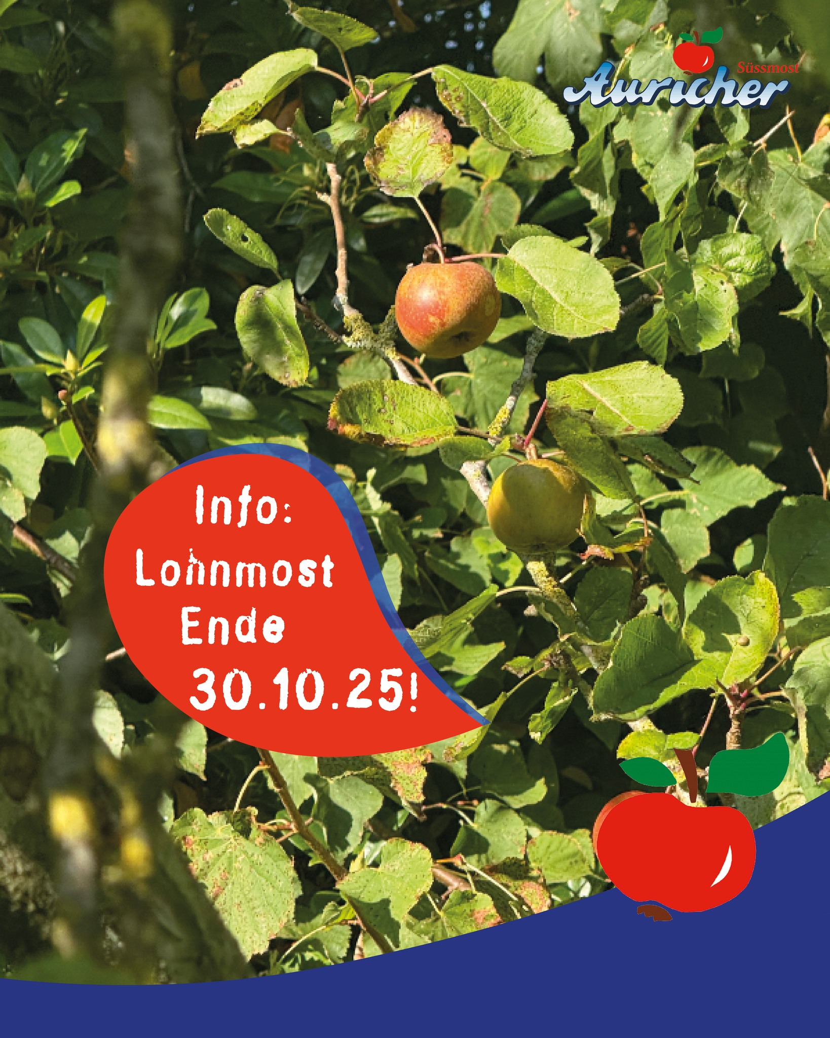 Letzte Chance: Lohnmost nur noch bis 30. Oktober 🍏