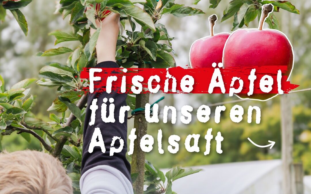 Von Hand gepflückt! 🫶🍎