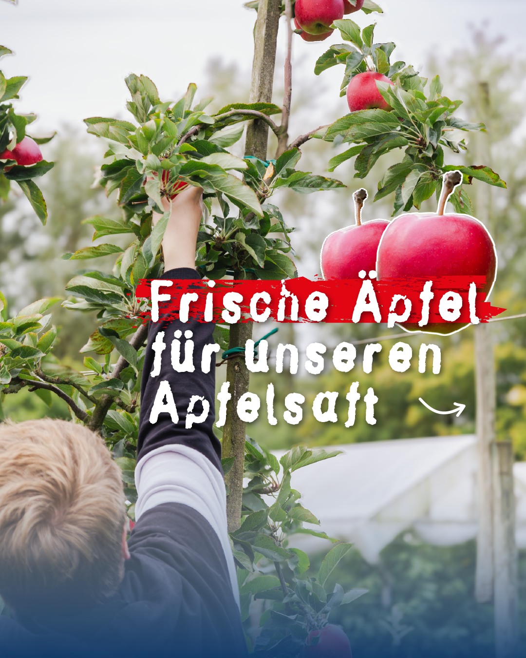 Von Hand gepflückt! 🫶🍎