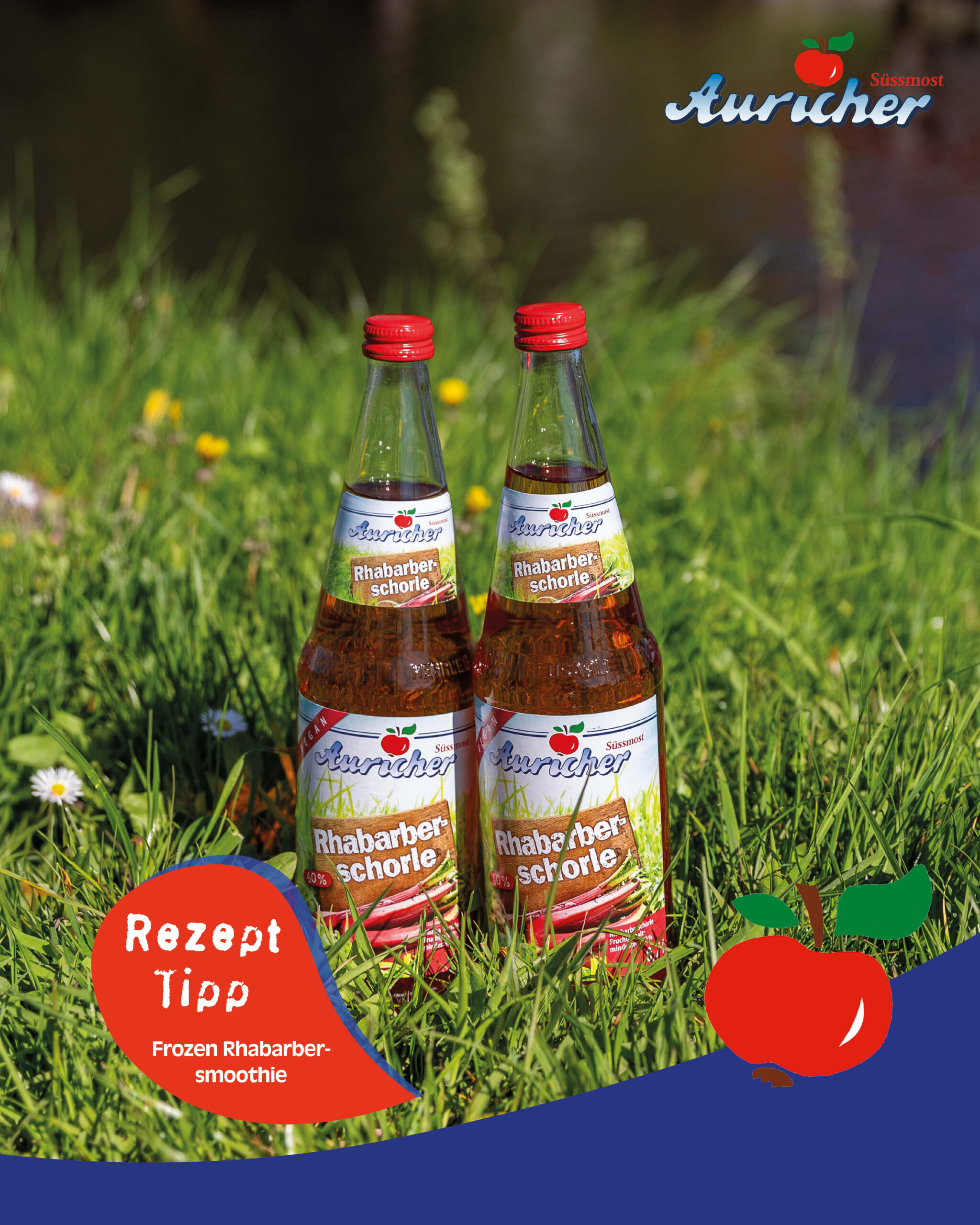 Frozen-Rhababar-Smothie – perfekt für den Frühling!
