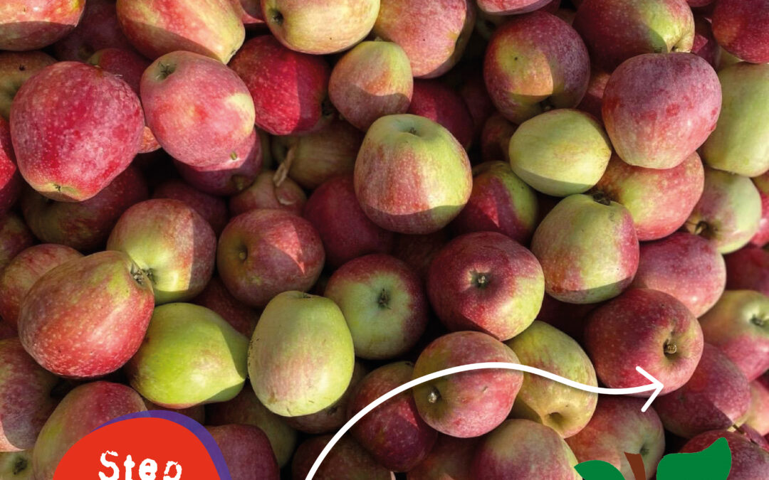 In 4 Schritten zum eigenen Saft